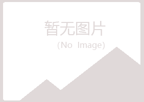 黄岛区敷衍美容有限公司